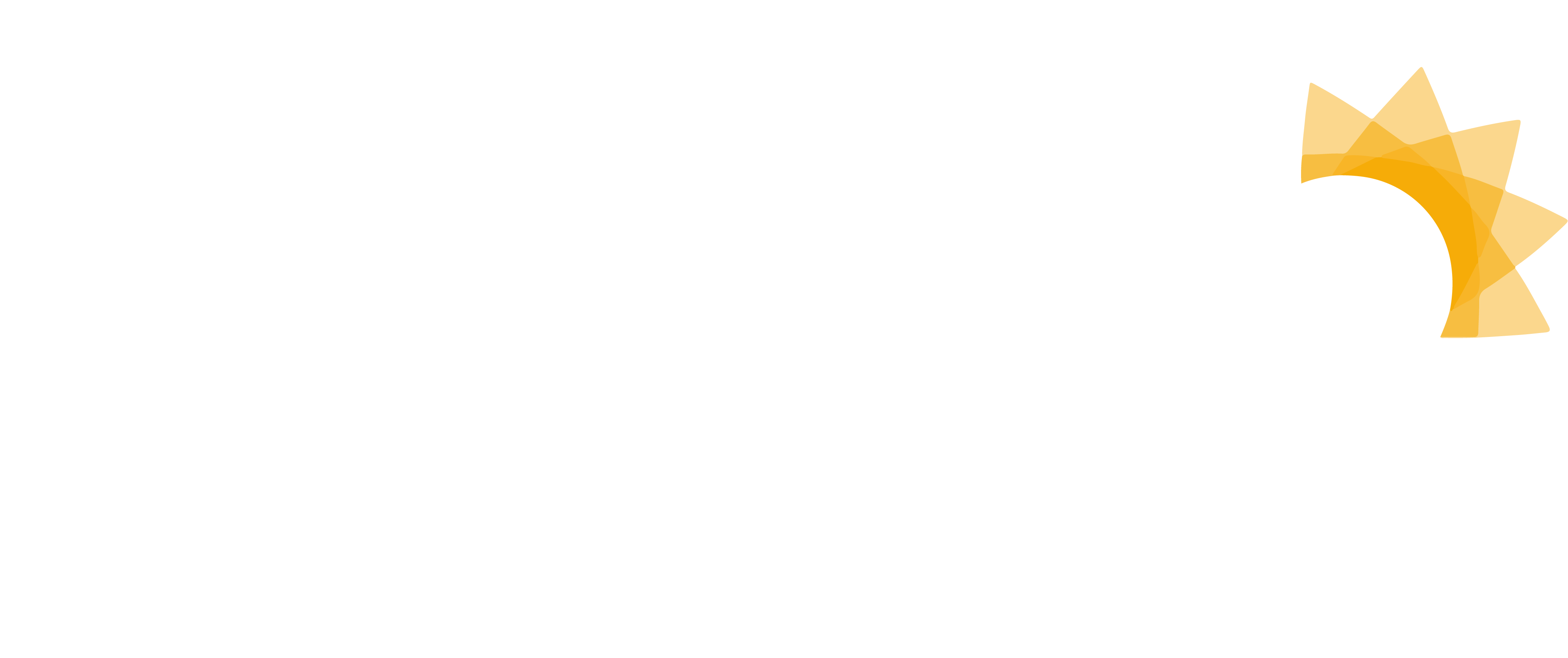 Alho Negro Brasil