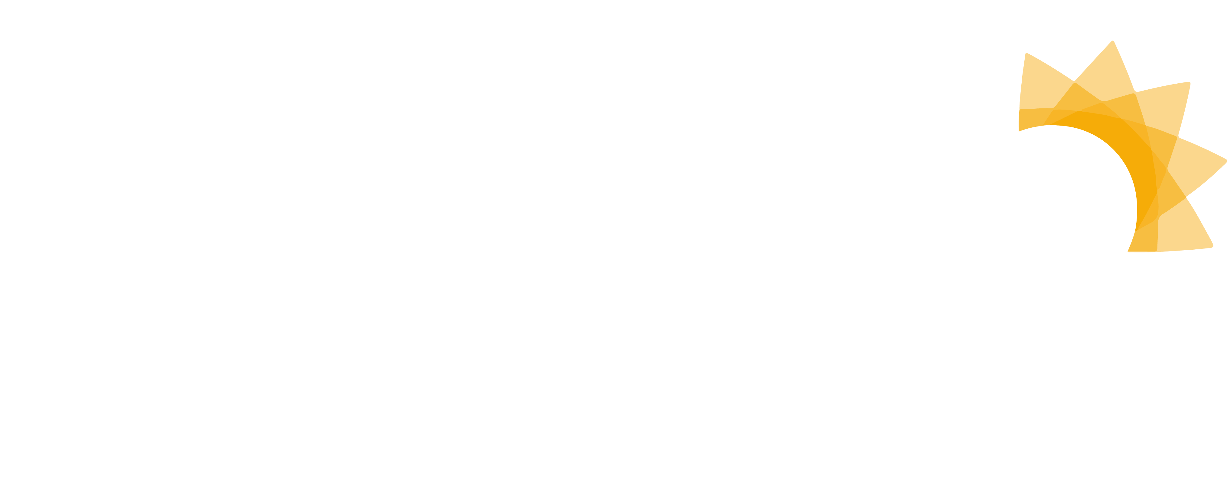 Aho Negro Brasil