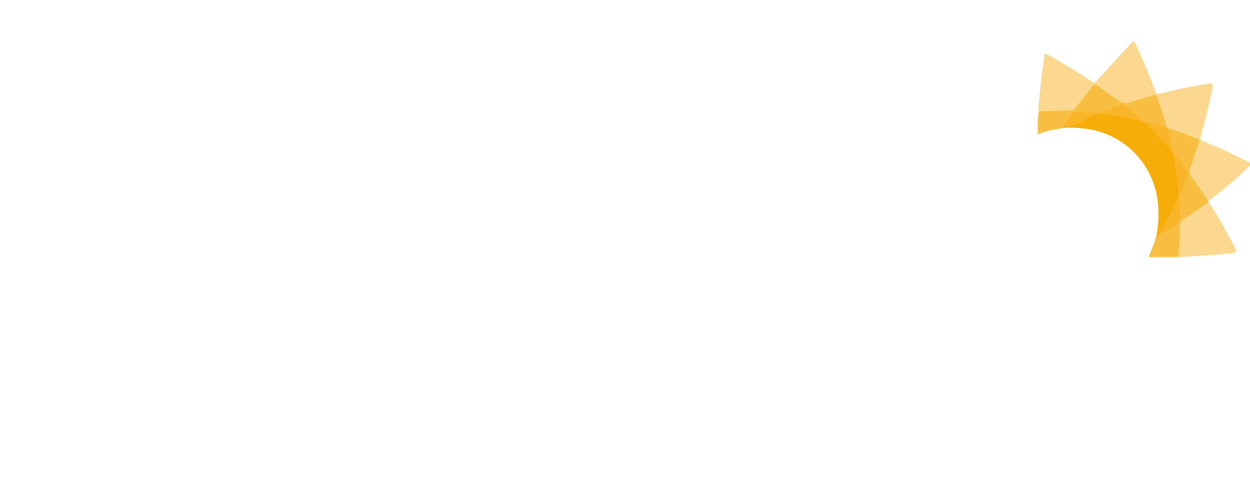 Alho Negro Brasil
